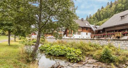 Apartment "Am Wehrastrand 4" in a Spa Town in the Southern Black Forest with Mountain View