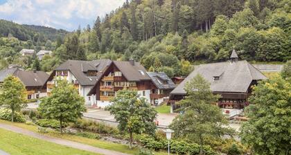 Apartment "Am Wehrastrand 5" in a Spa Town in the Southern Black Forest with Mountain View