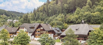 Apartment "Am Wehrastrand 5" in a Spa Town in the Southern Black Forest with Mountain View