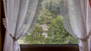 Ein Fenster mit Spitzenvorhängen, Blick auf eine bewaldete Gegend und ein Gebäude mit geneigtem Dach.