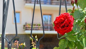A red rose in a hanging planter with a building in the background. - Child-friendly Holiday Apartment "Cornon" with Mountain View, Sun Terrace & Wi-Fi (Tesero)