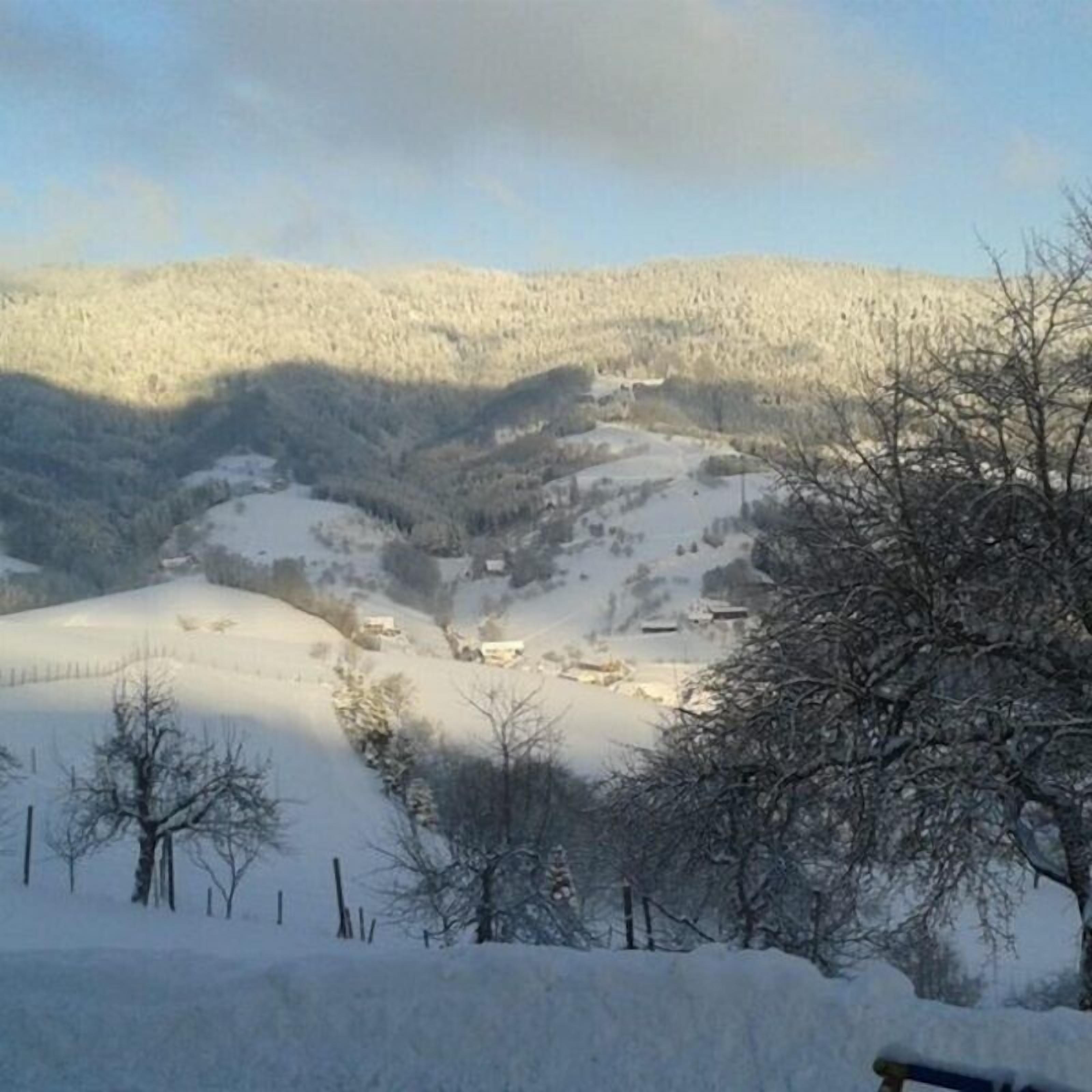 A snow-covered landscape with a few buildings and bare trees.