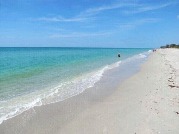 Sun-loungers, beach towels