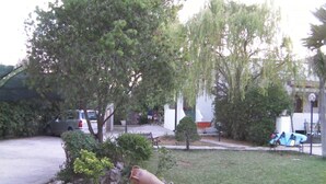 Un quartier résidentiel avec une pelouse, un grand arbre, un petit arbre et un banc.