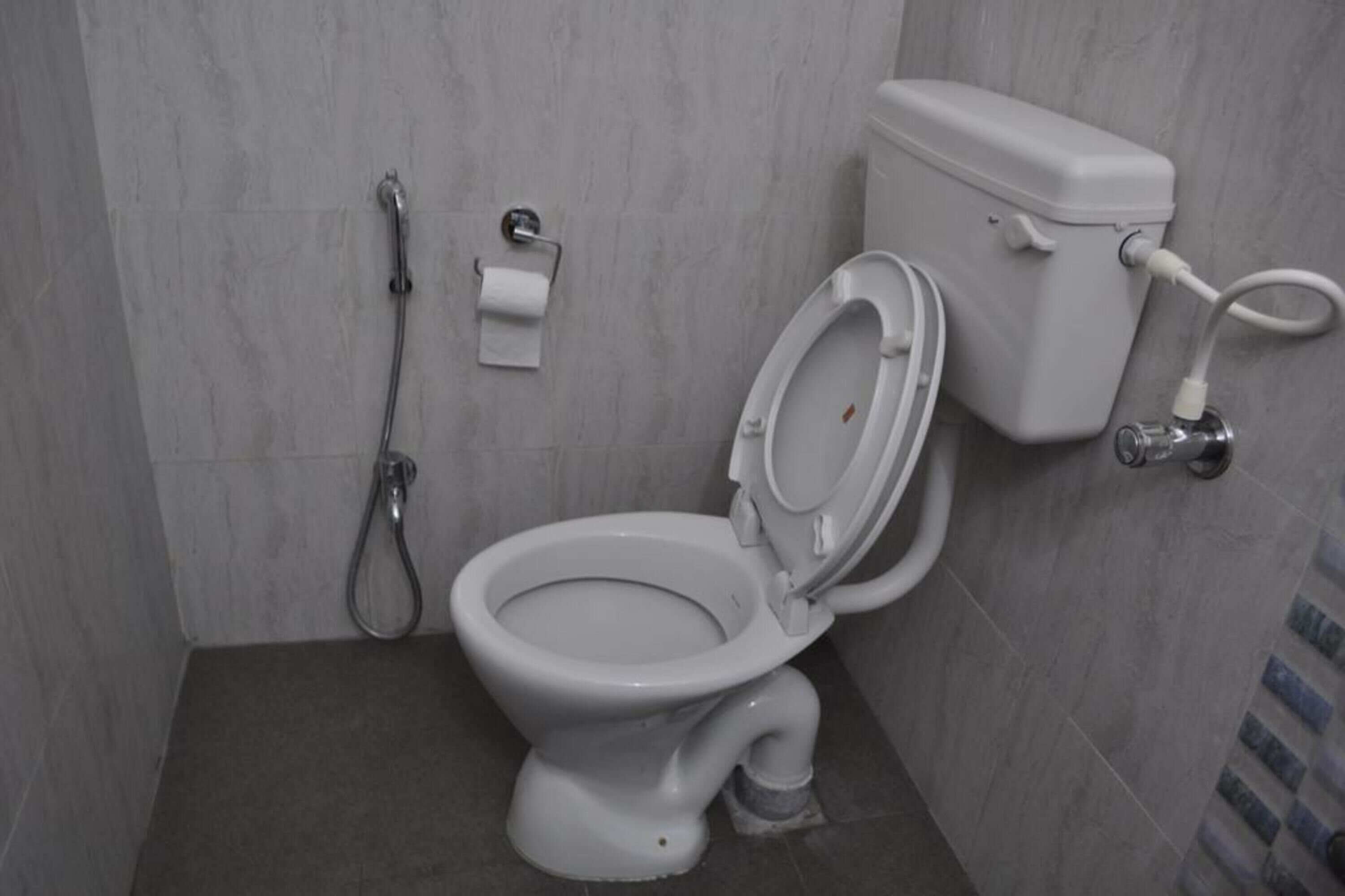 Een toilet met een bidet, een toiletrolhouder en een douchekop.