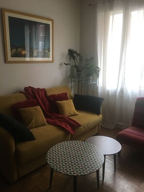 Télévision, lecteur de DVD, livres