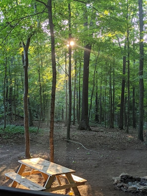 Enceinte de l’hébergement