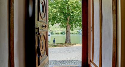 Moselbleibe II Uferallee - Moselbleibe Uferallee