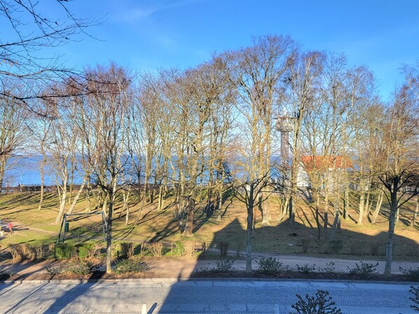 Unclassified image, 1 of 15, button