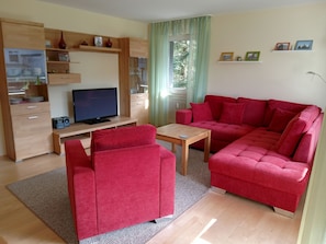 TV, DVD player, books, stereo - Family & dog-friendly vacation apartment Hahnenklee with balcony near hiking trails (Goslar)