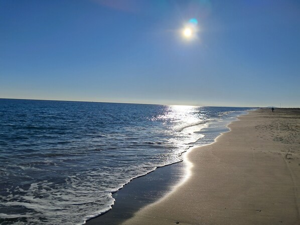 Playa en los alrededores