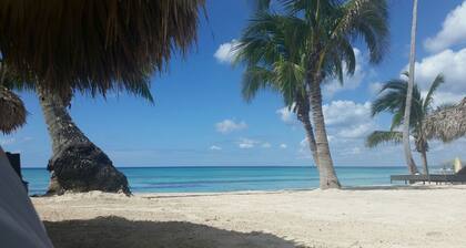The emerald oasis of the caribbean ,  at the heart of the universe