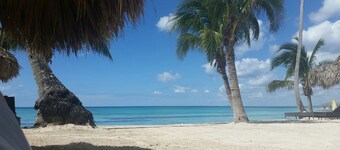 The emerald oasis of the caribbean , at the heart of the universe