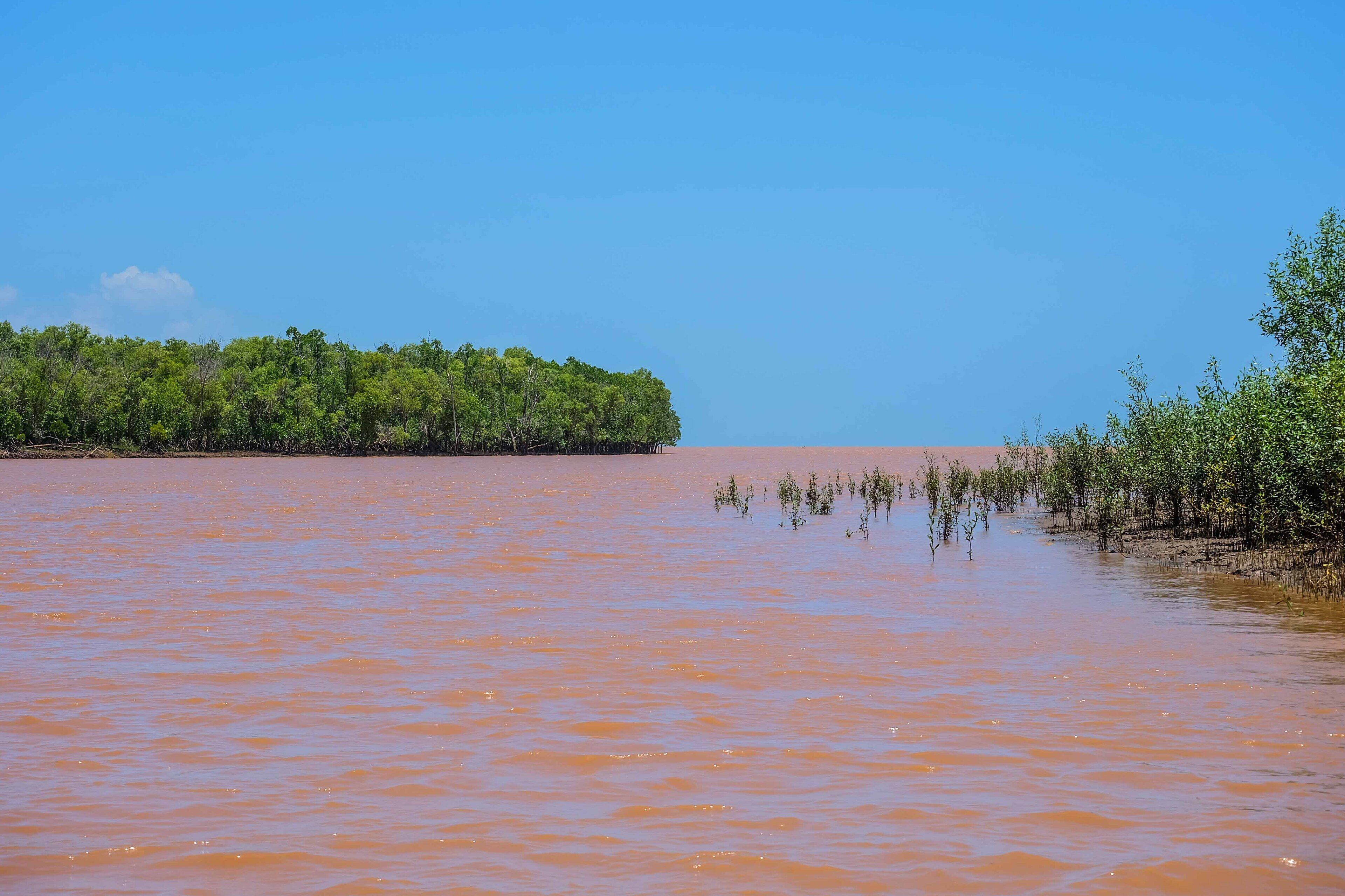 A river with a muddy brown color, surrounded by dense green vegetation on both sides.