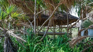 A thatched-roof structure surrounded by lush greenery. - Saadani Safari Lodge - bush, river, beach (Saadani)
