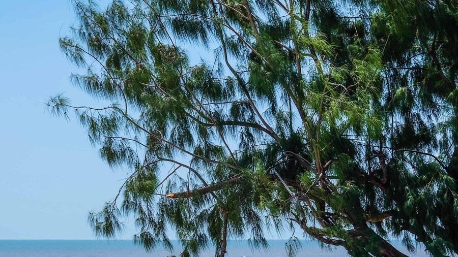 Saadani Safari Lodge - bush, river, beach