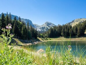 Surrounded by lush greenery and a serene lake, this peaceful natural setting offers a tranquil escape with breathtaking views of the mountain range.