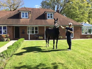 A brick house with a sloped roof, a front porch, and a horse standing in the yard.