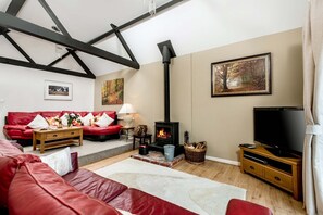 TV, fireplace, DVD player - Criddlestyle Cottage - New Forest (Fordingbridge)