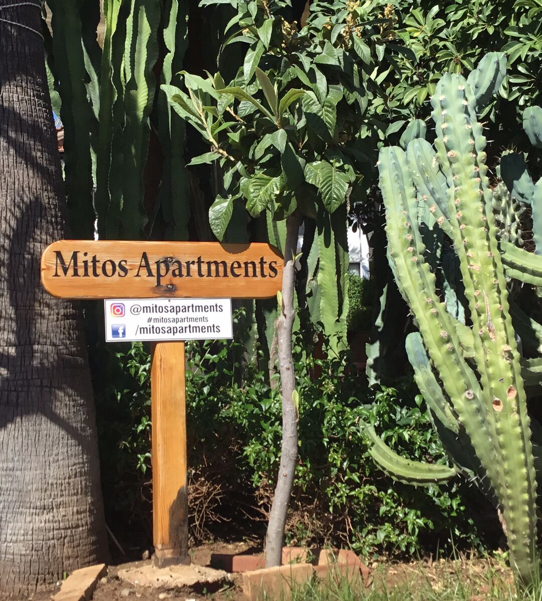 Photo - Mitos Apartments