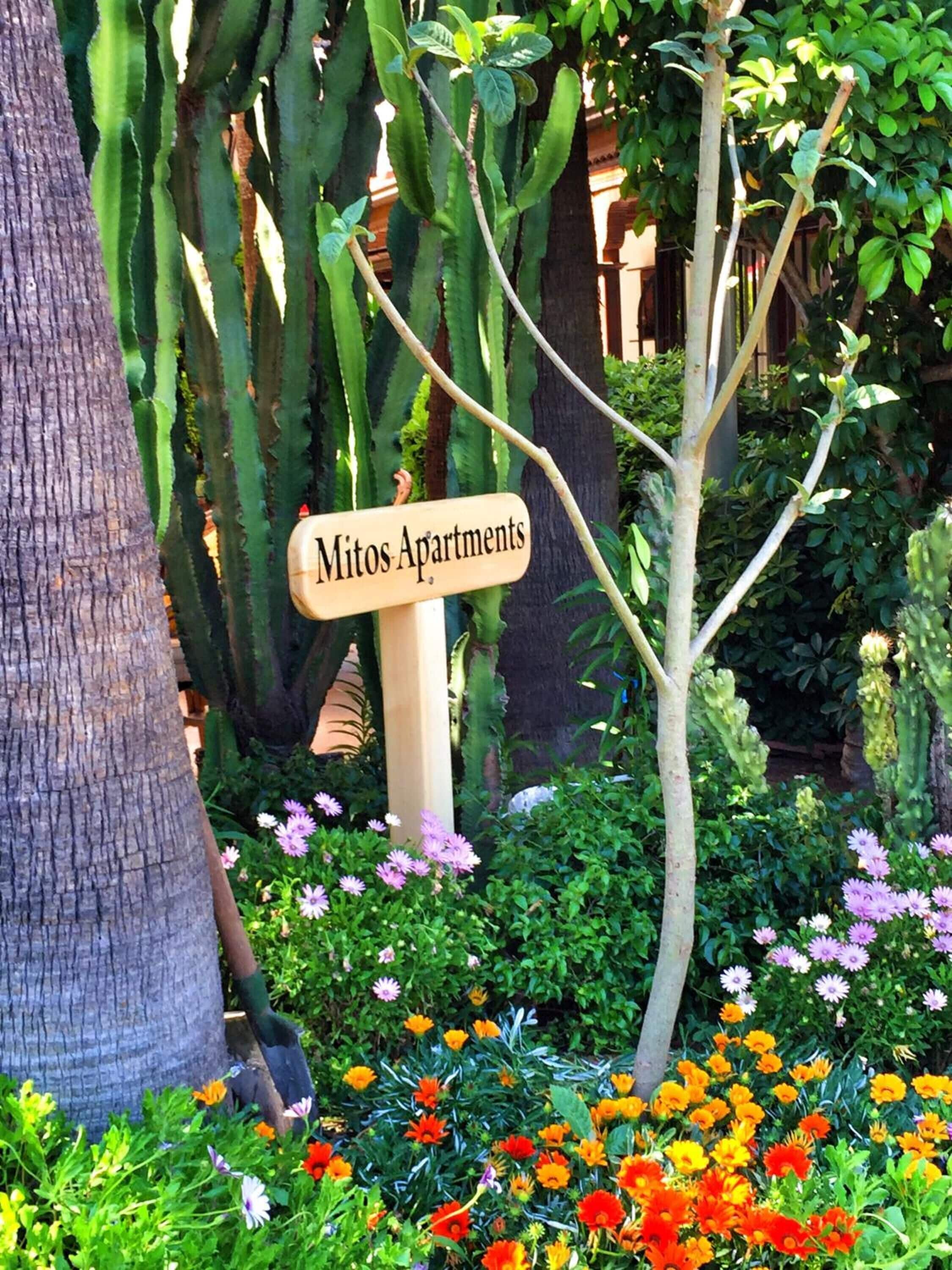 Photo - Mitos Apartments