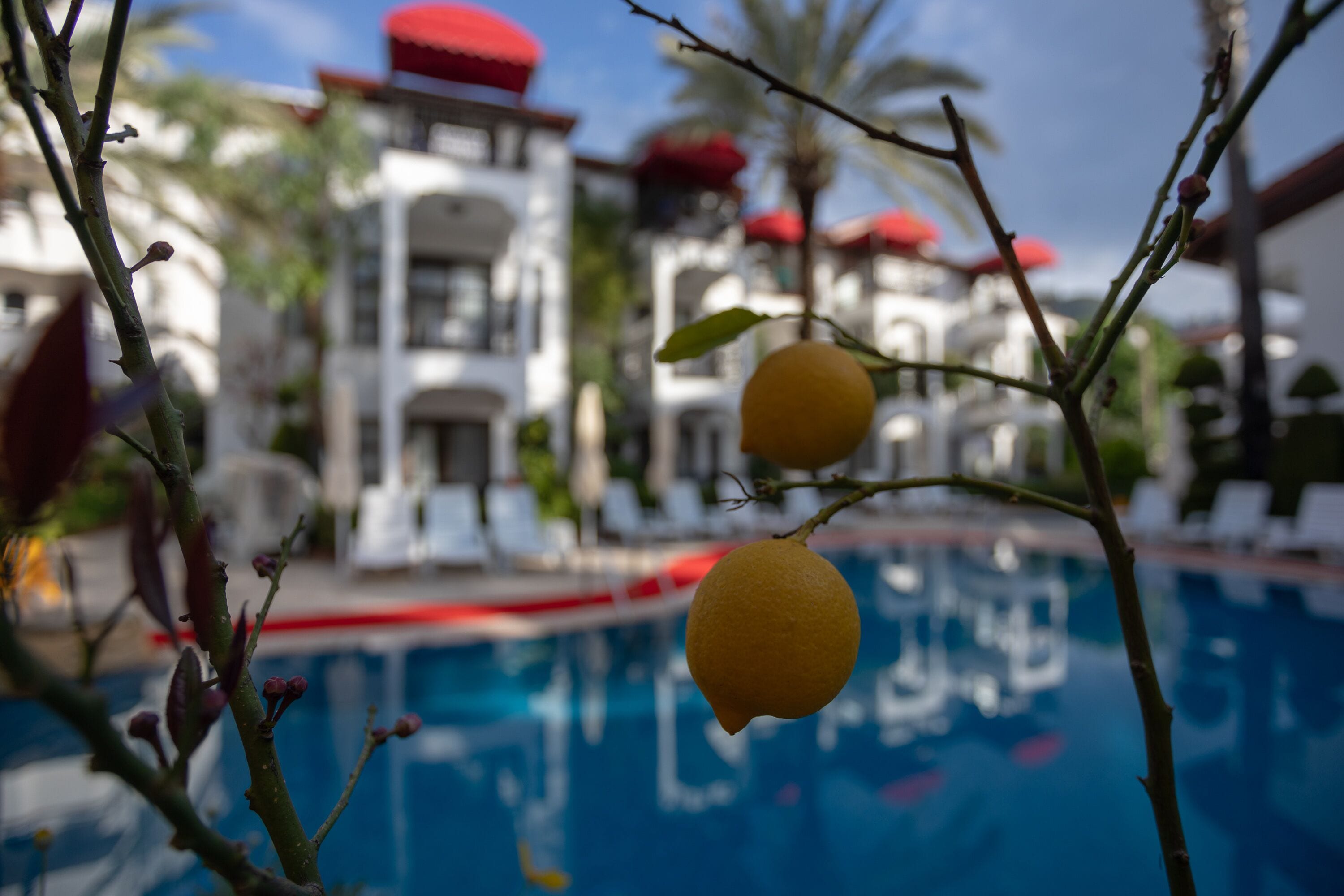 Photo - Mitos Apartments