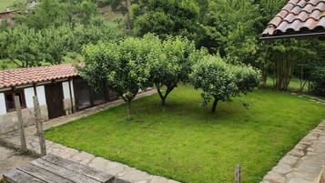 Terras