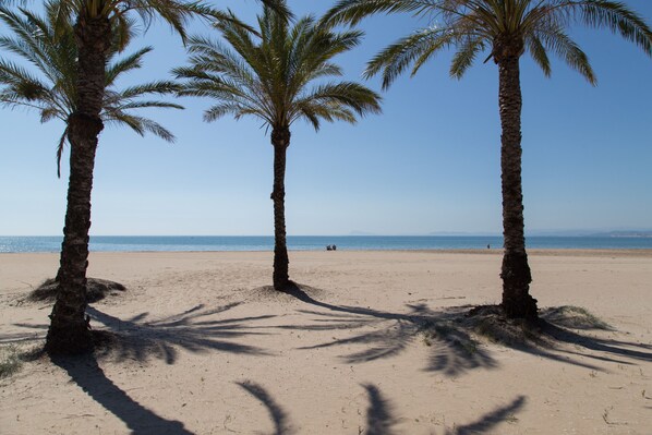 A beach with palm trees and a clear sky.