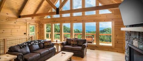 TV, fireplace, video games