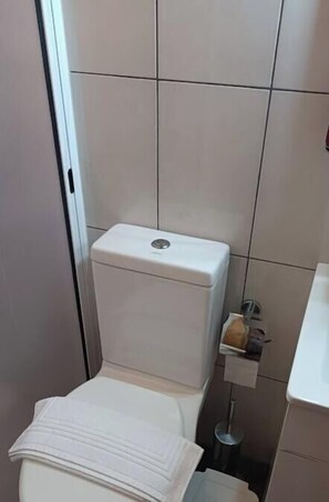 Shower, towels, soap, toilet paper
