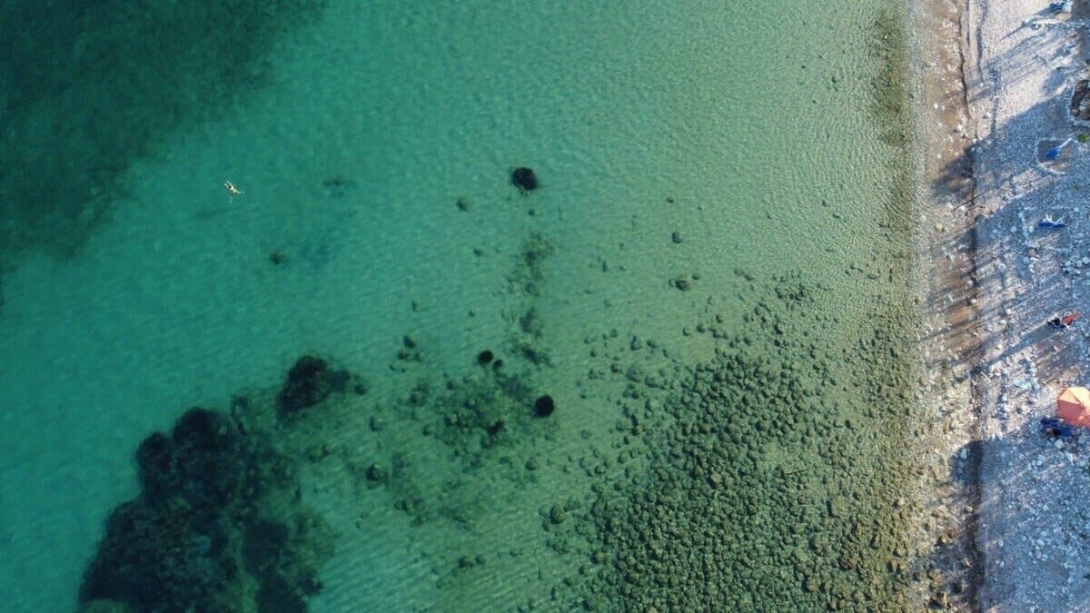 Ett flygbildsbild av ett kustområde med klart vatten, en sandstrand och spridda stenar.