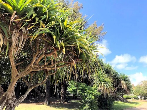 Ishikawa IC until 4 mins Stylish Okinawa lifeNE / Uruma Okinawa