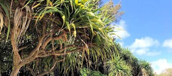 Ishikawa IC until 4 mins Stylish Okinawa lifeNE / Uruma Okinawa