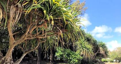 Ishikawa IC until 4 mins Stylish Okinawa lifeNE / Uruma Okinawa