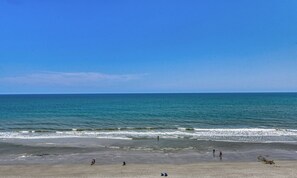 Playa