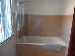 Combined shower/bathtub, hair dryer, bidet, towels