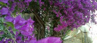 Accommodation 50 mt. from the sea, 5 minutes from Gallipoli and the Salentine Maldives