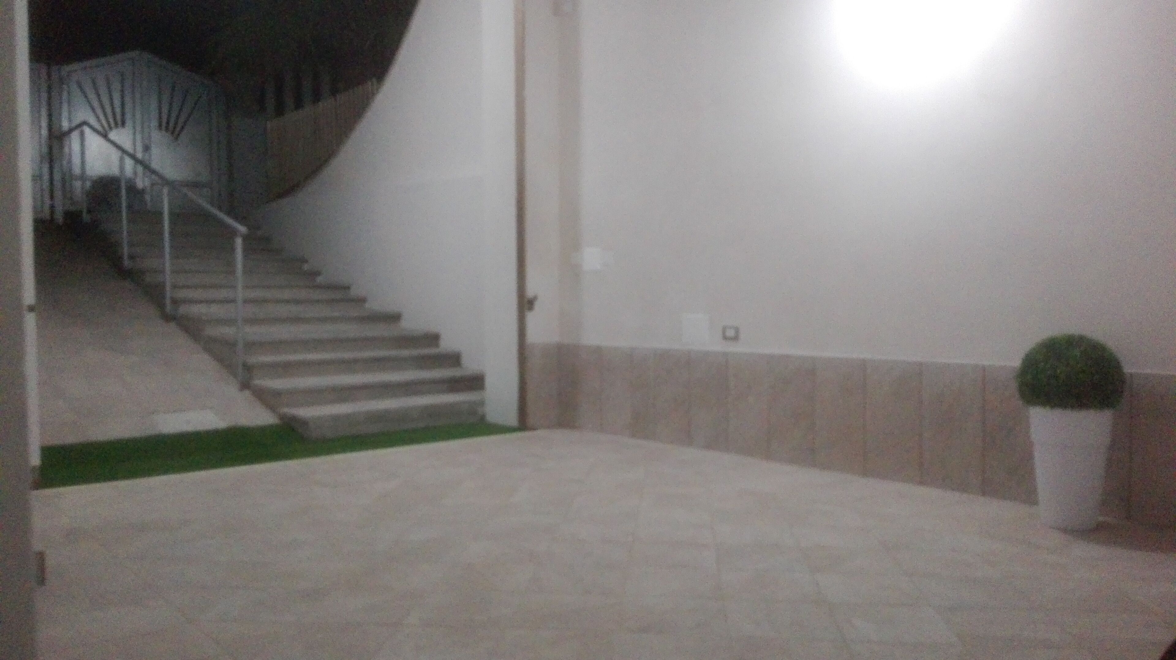 Eine Treppe, die zu einer oberen Etage führt, eine Tür und ein Blumentopf.