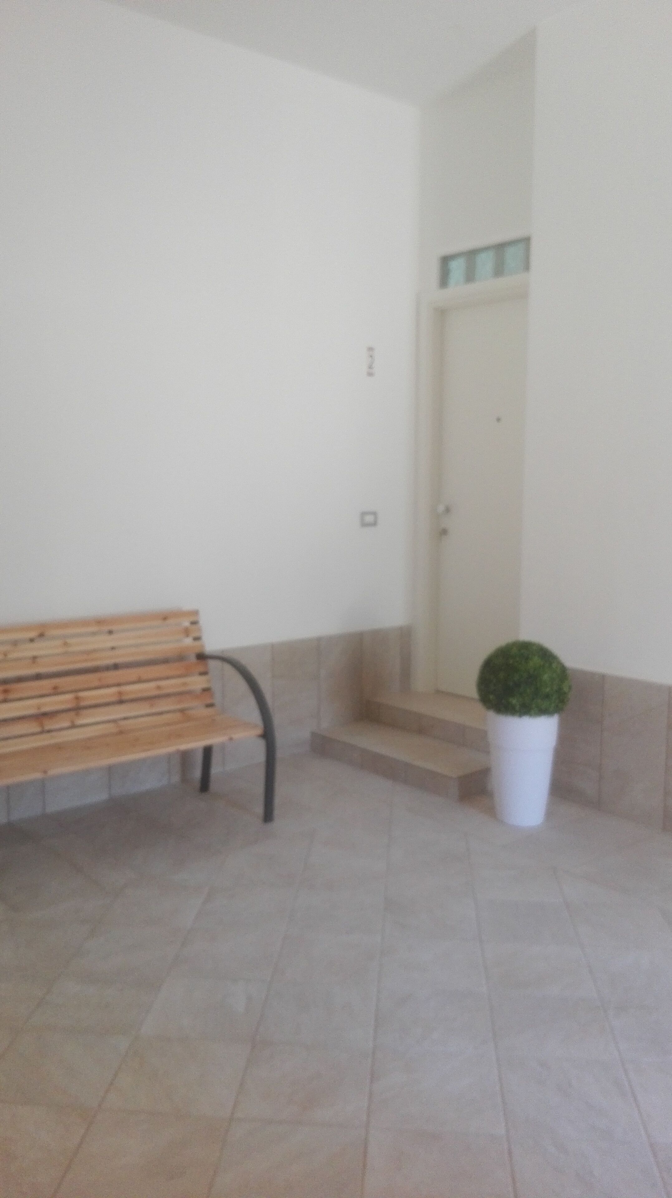 A bench, a door, and a potted plant in a hallway.