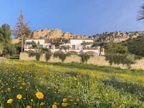 A modern house with stone walls, a balcony, and a garden with yellow flowers.