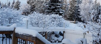 Motherlode Manor 3 ~ Home in the Wilderness City