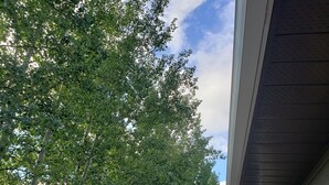 Een woonwijk met een huis, een witte schutting en bomen.