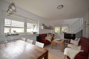 Televisio, takka, DVD-soitin, kirjoja