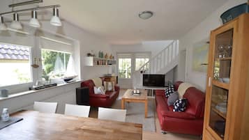 Télévision, cheminée, lecteur de DVD, livres