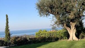Un'area erbosa con un grande albero e un cipresso, con vista libera sul mare in lontananza.
