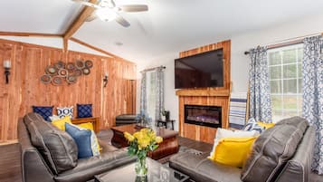 Smart TV, fireplace, books