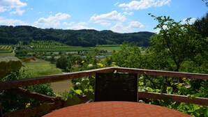 A terrace with a view of a green valley and forested hills. - 4**** Holiday paradise on Lake Constance (Owingen)