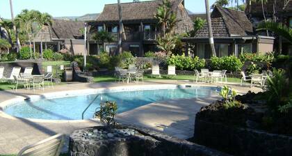 Cozy Ocean View Condo - Great Pool & Short Walk to Punalu'u Beach