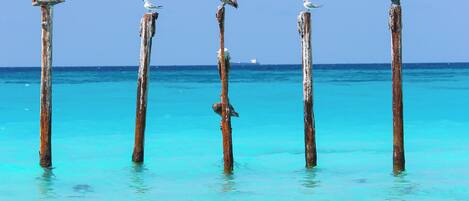 Na praia, espreguiçadeiras, toalhas de praia