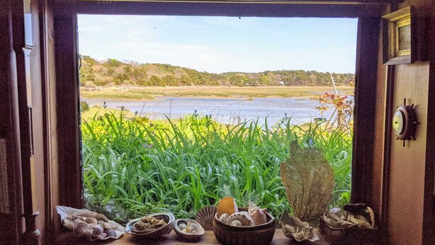 A view from a window with a table displaying seashells and a small plant. - Wellfleet Harbor Waterfront-Duck Creek Cottage (Wellfleet)